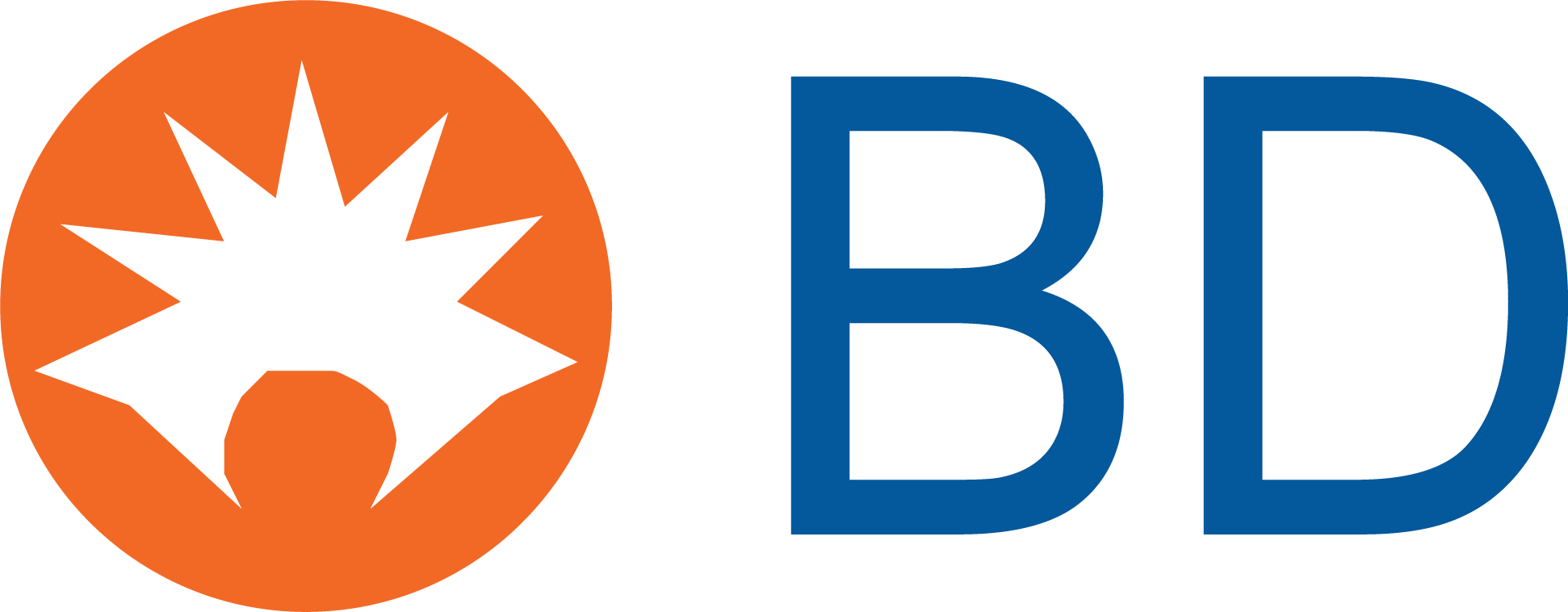 BD LOGO